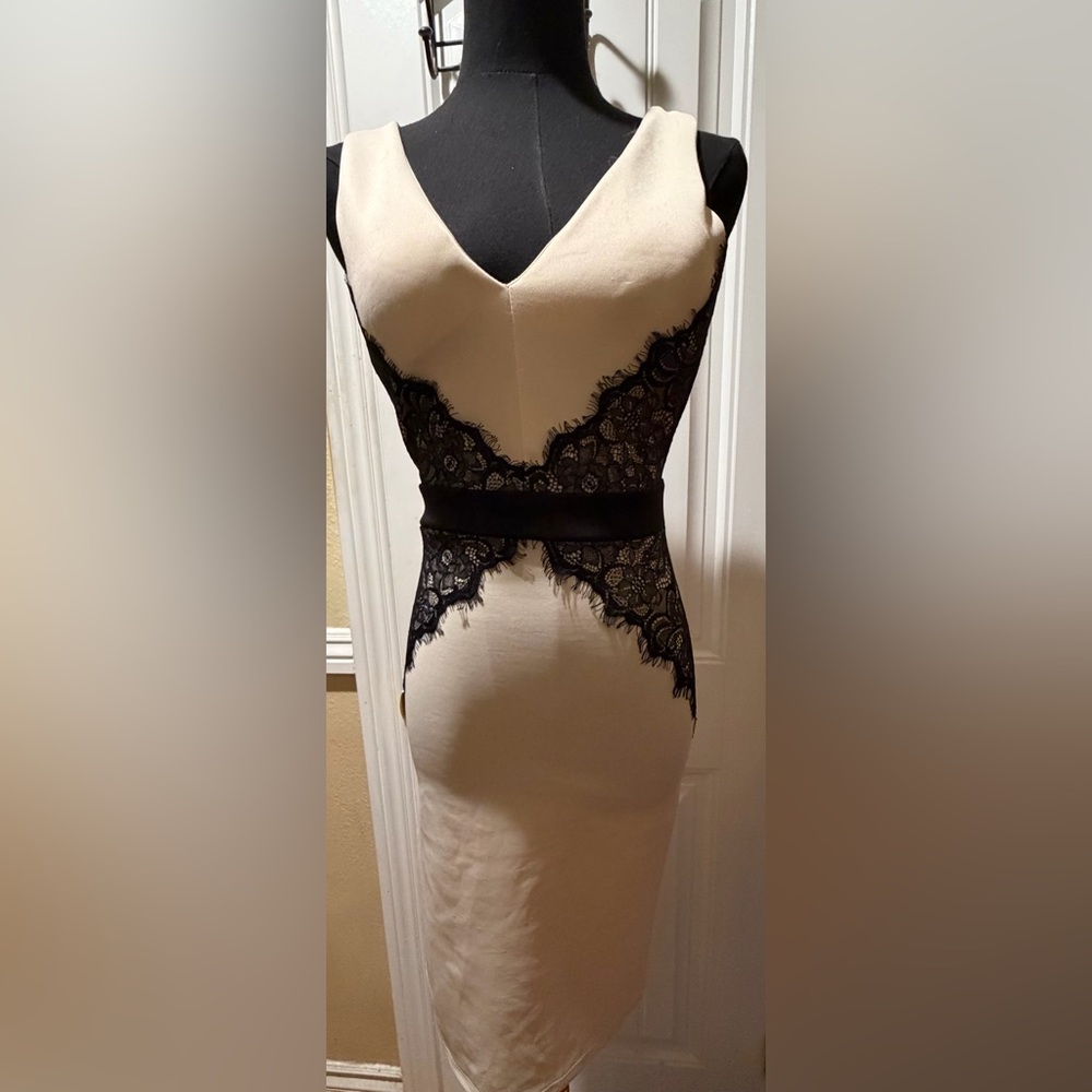 Windsor Cream and Black Lace Dress